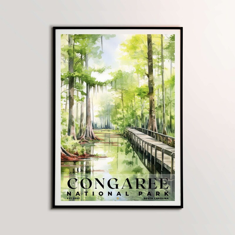 Congaree National Park Poster, Travel Art, Office Poster, Home Decor | S4